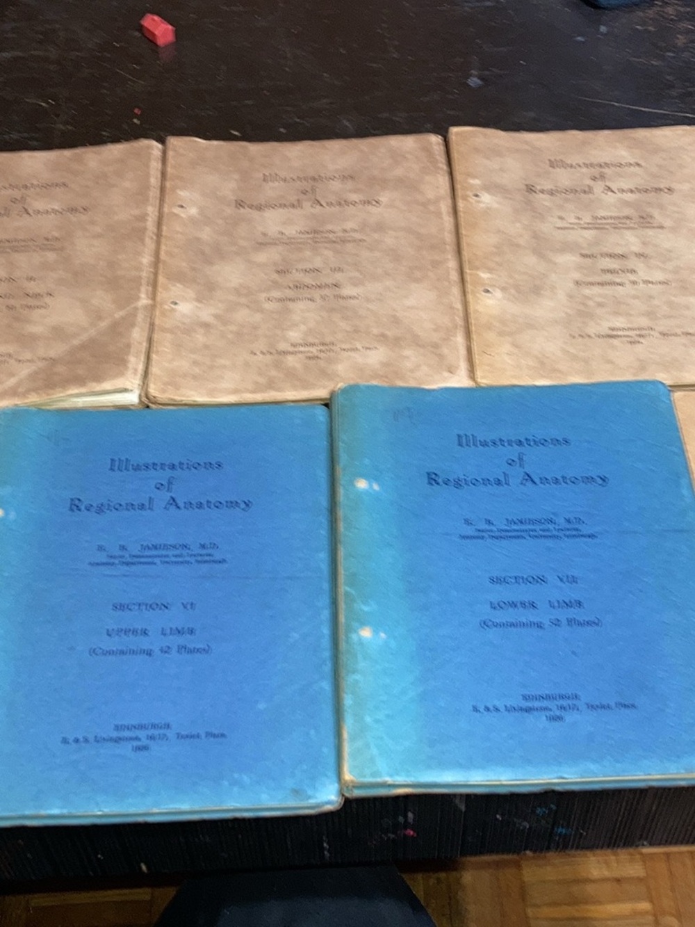 Vintage Illustrations of Regional Anatomy Volumes - Blue and beige Covers